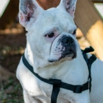 Программы лояльности казино без депозита - анализ бонусных систем